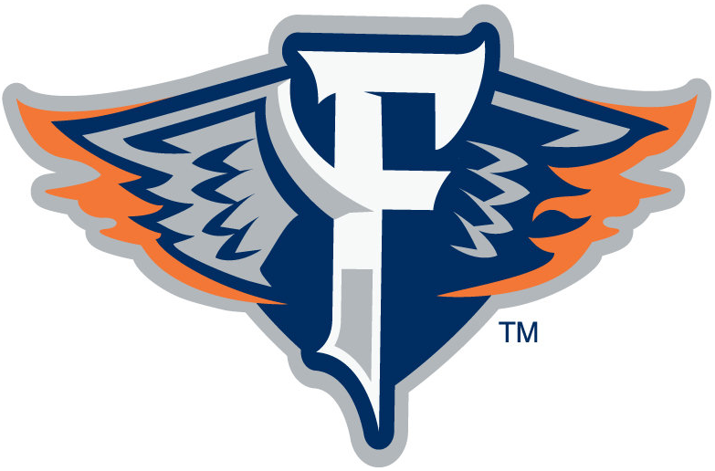 Flint Firebirds 2015-Pres Secondary Logo iron on transfers for clothing